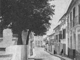 1920 a 1950-008
